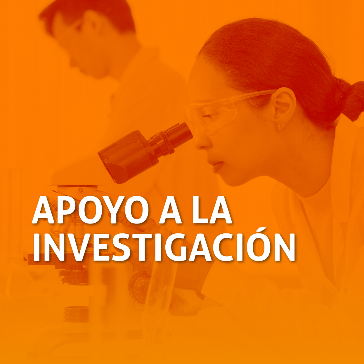 Apoyo a la investigación