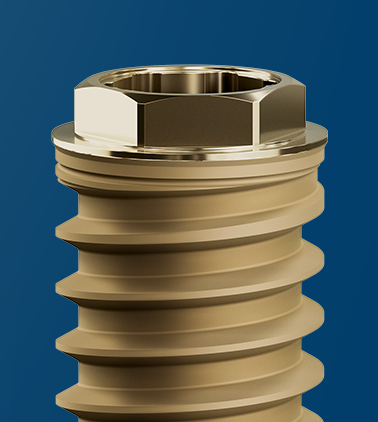 Explora nuevas posibilidades