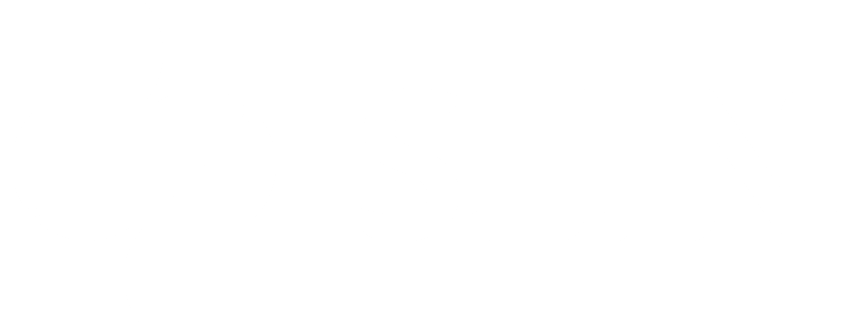 S.I.N. Implant System