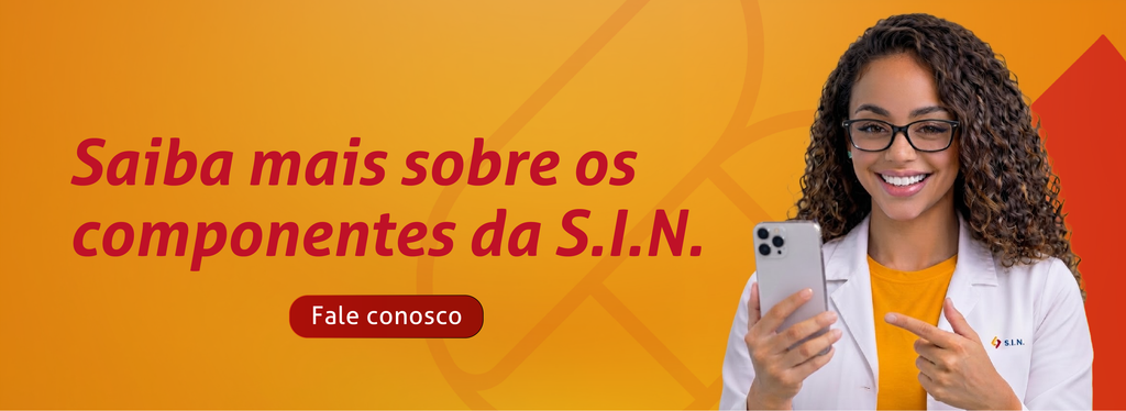 Saiba mais sobre os componentes da S.I.N.