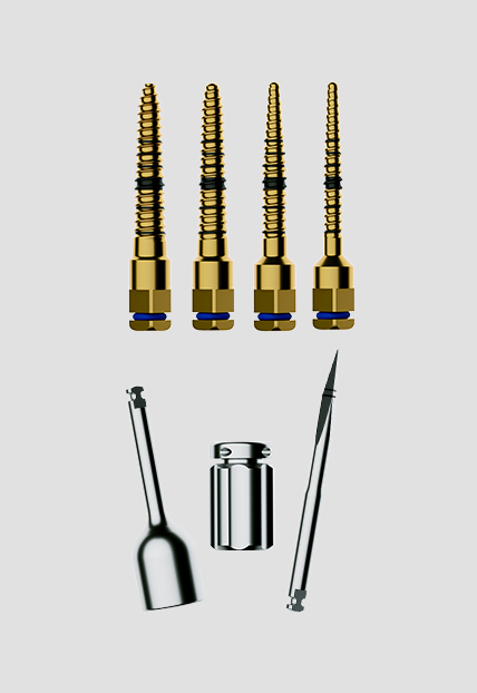 Design exclusivo 