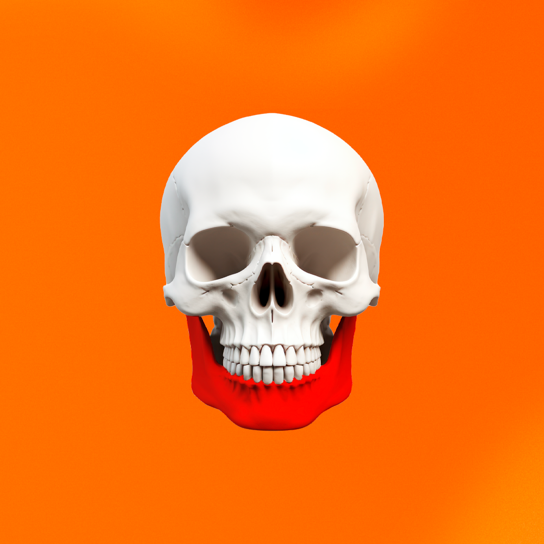 Mandible