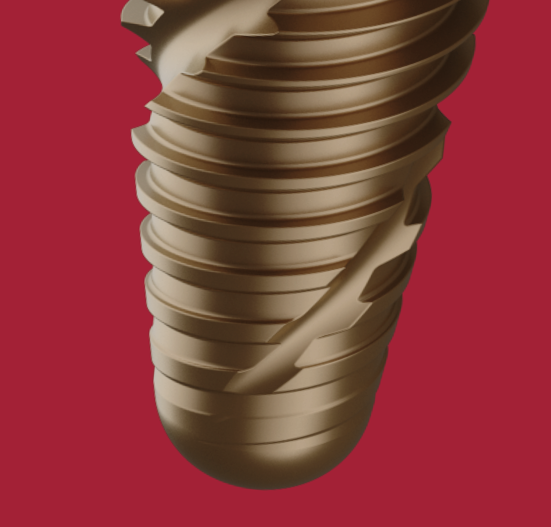 SMOOTH APICAL END