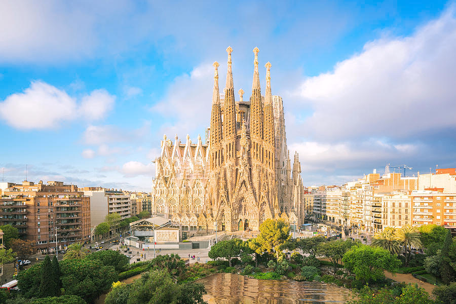 Advanced Surgeries and Special Fixations in Barcelona
